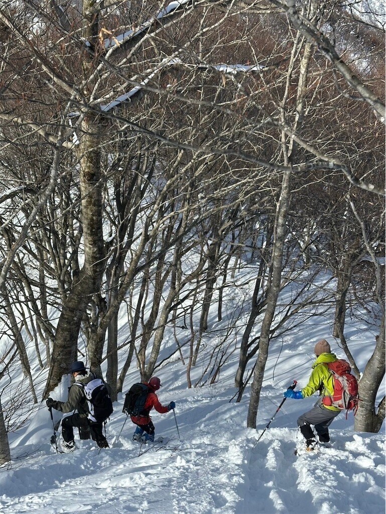 f:id:toyama-rouzan:20250121230326j:image