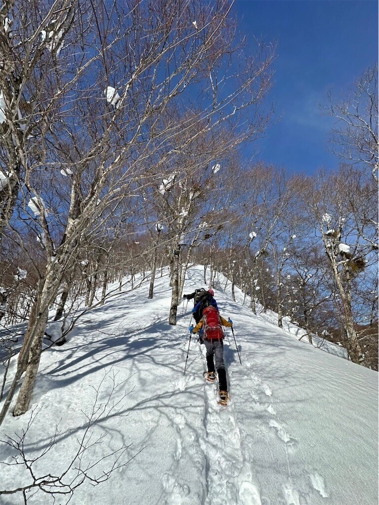 f:id:toyama-rouzan:20250121230713j:image