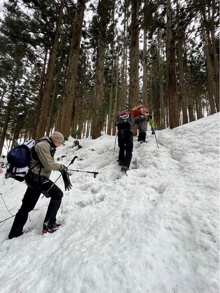 f:id:toyama-rouzan:20250121230716j:image
