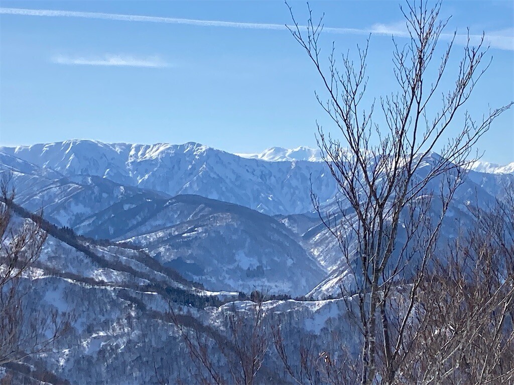 f:id:toyama-rouzan:20250121230935j:image