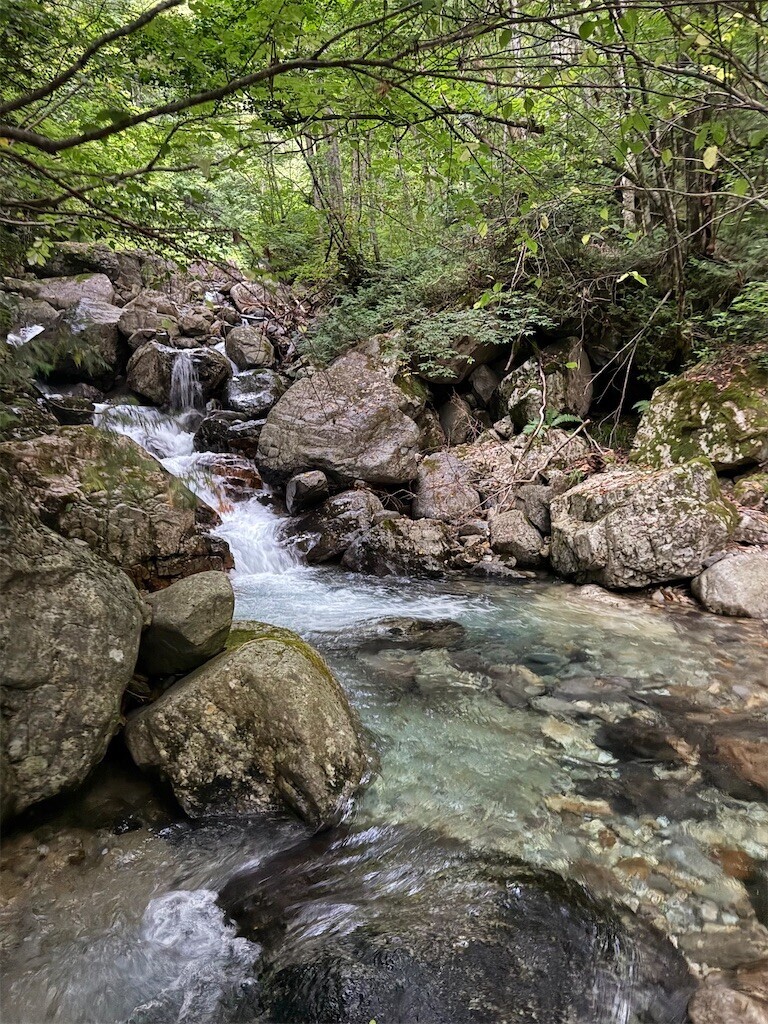 f:id:toyama-rouzan:20250928225627j:image