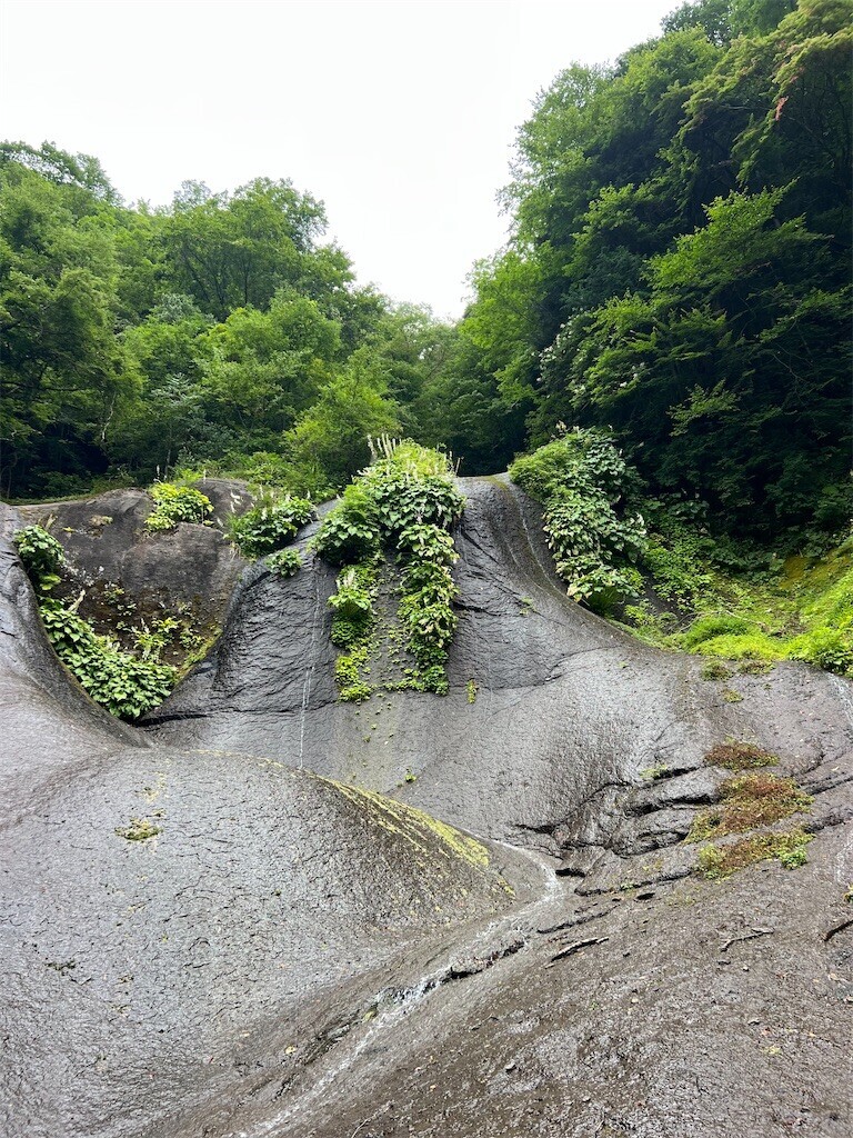 f:id:toyama-rouzan:20260729123438j:image f:id:toyama-rouzan:20260729123438j:image