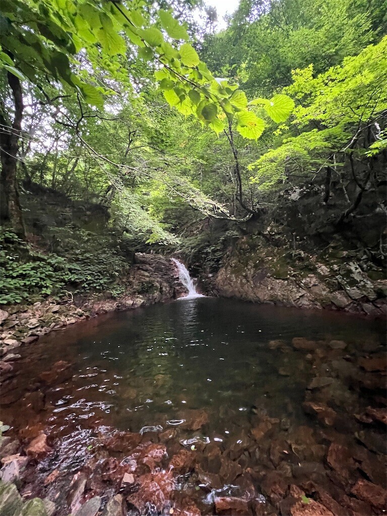 f:id:toyama-rouzan:20260729123740j:image f:id:toyama-rouzan:20260729123740j:image