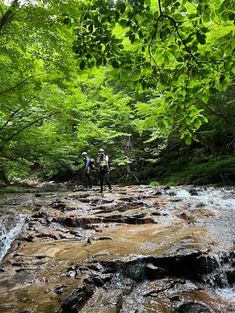 f:id:toyama-rouzan:20260729124221j:image f:id:toyama-rouzan:20260729124221j:image
