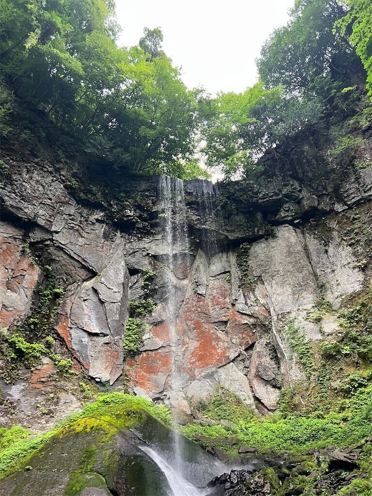f:id:toyama-rouzan:20260729124458j:image f:id:toyama-rouzan:20260729124458j:image