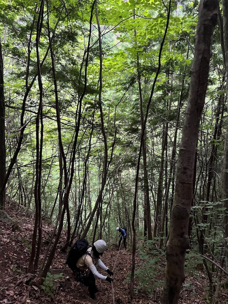 f:id:toyama-rouzan:20260729131934j:image f:id:toyama-rouzan:20260729131934j:image