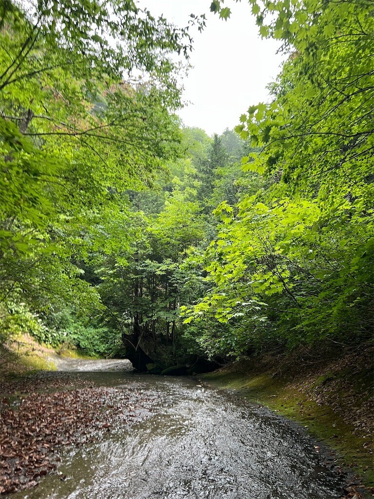 f:id:toyama-rouzan:20260729131937j:image f:id:toyama-rouzan:20260729131937j:image