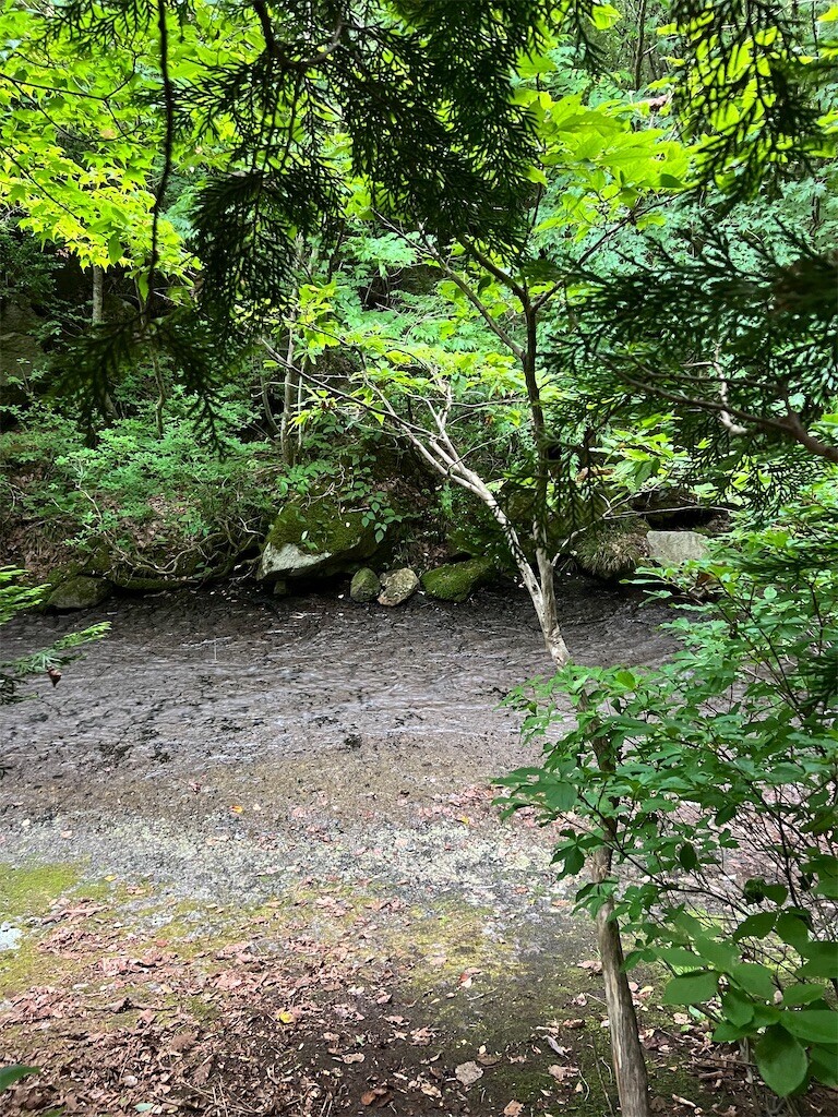 f:id:toyama-rouzan:20260729131950j:image f:id:toyama-rouzan:20260729131950j:image