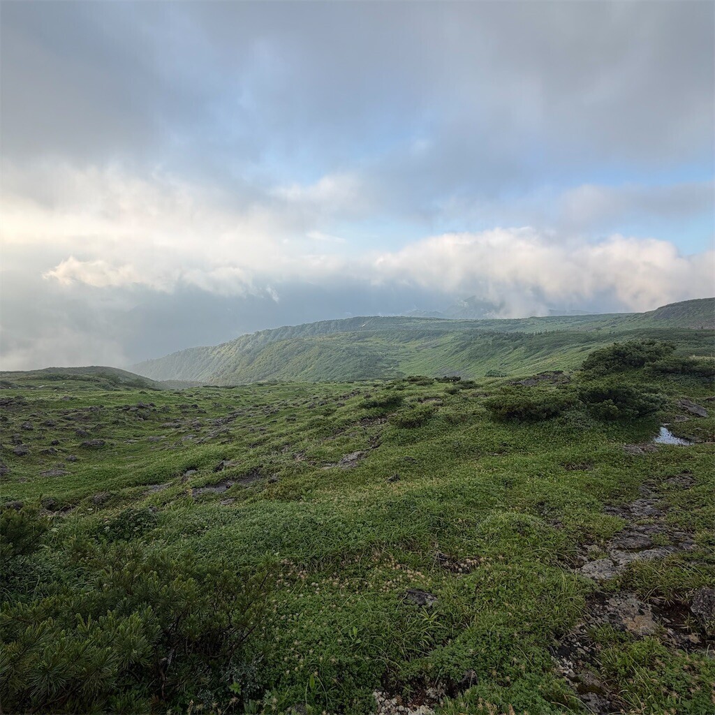 f:id:toyama-rouzan:20260809074647j:image
