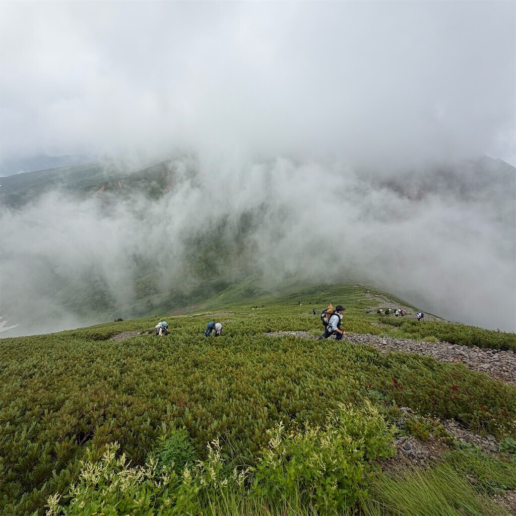 f:id:toyama-rouzan:20260809074714j:image
