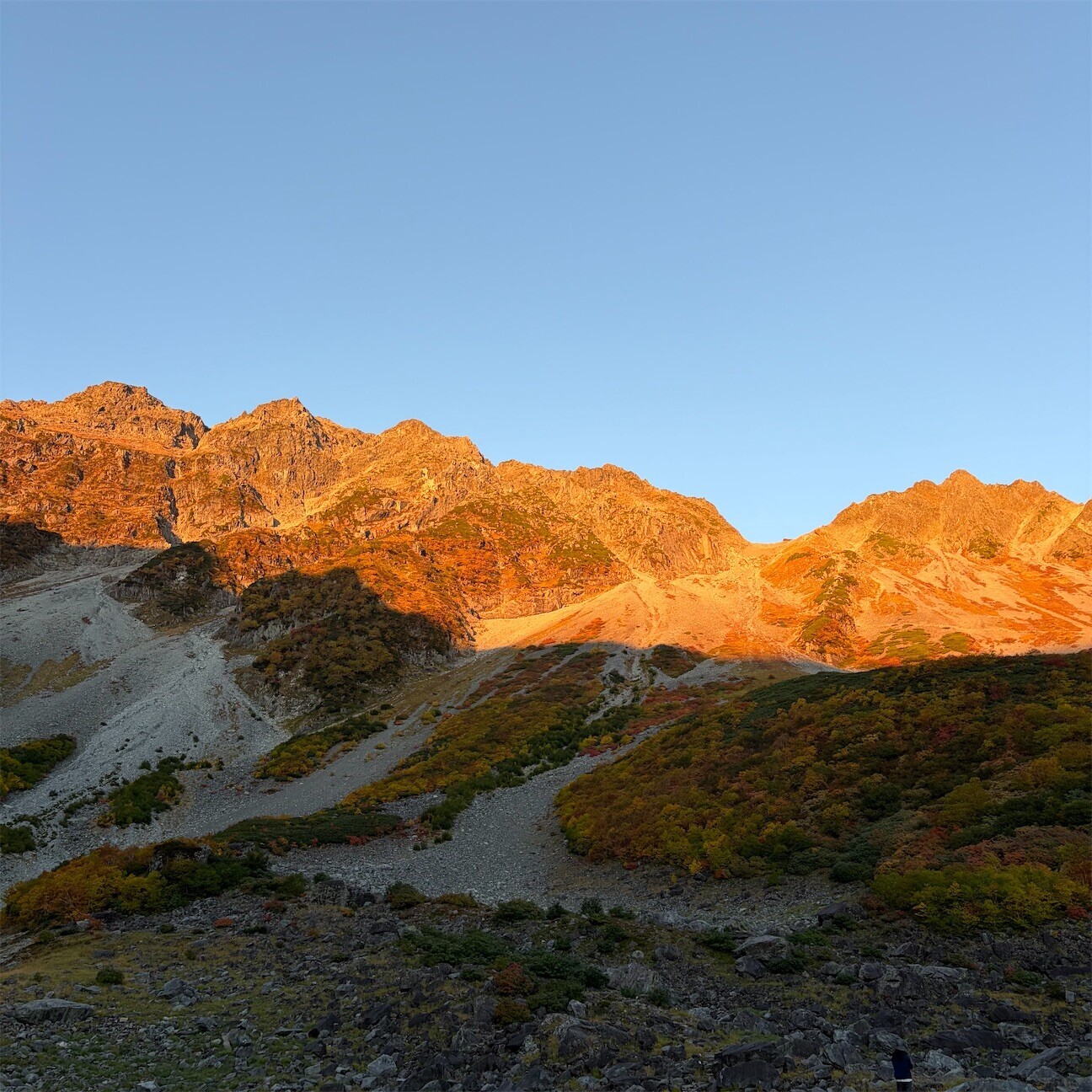 f:id:toyama-rouzan:20261004200539j:image