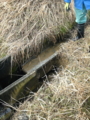 20100328082312