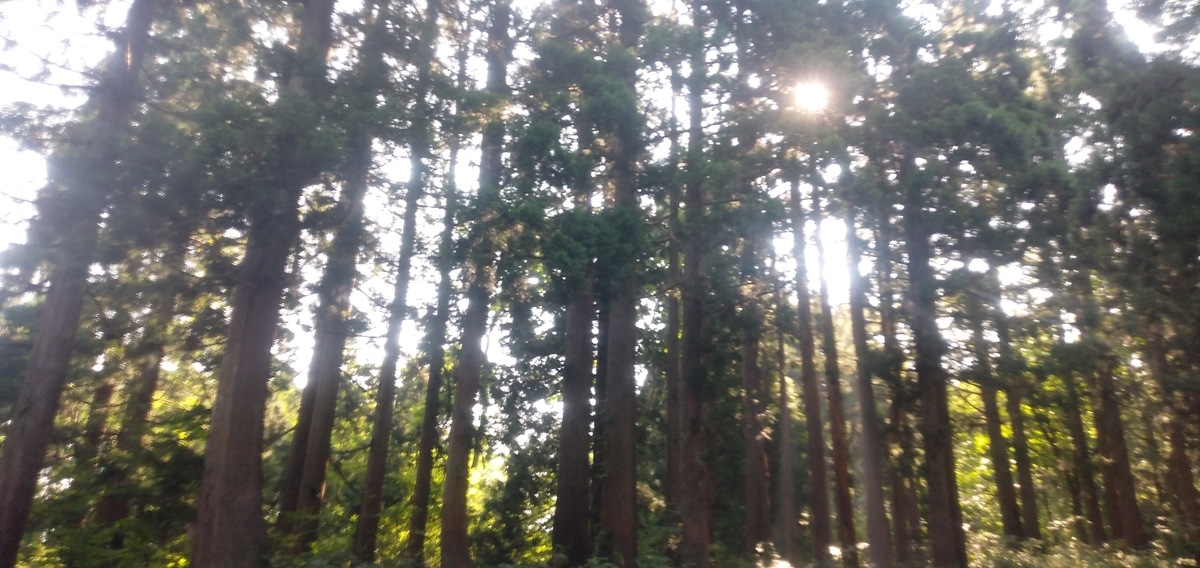 f:id:toyamayama:20190801160436j:plain f:id:toyamayama:20190801160436j:plain