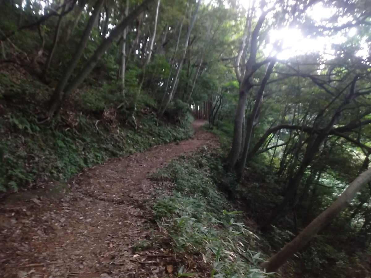 f:id:toyamayama:20190825170434j:plain f:id:toyamayama:20190825170434j:plain