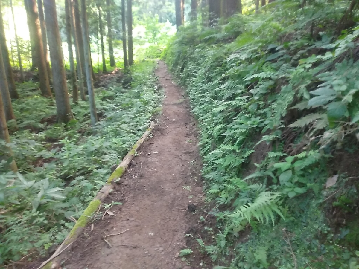f:id:toyamayama:20190825170515j:plain f:id:toyamayama:20190825170515j:plain