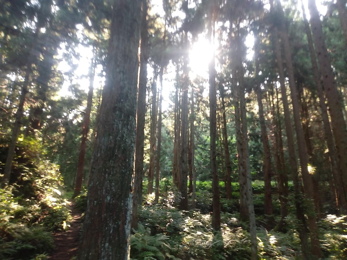 f:id:toyamayama:20190825170549j:plain f:id:toyamayama:20190825170549j:plain