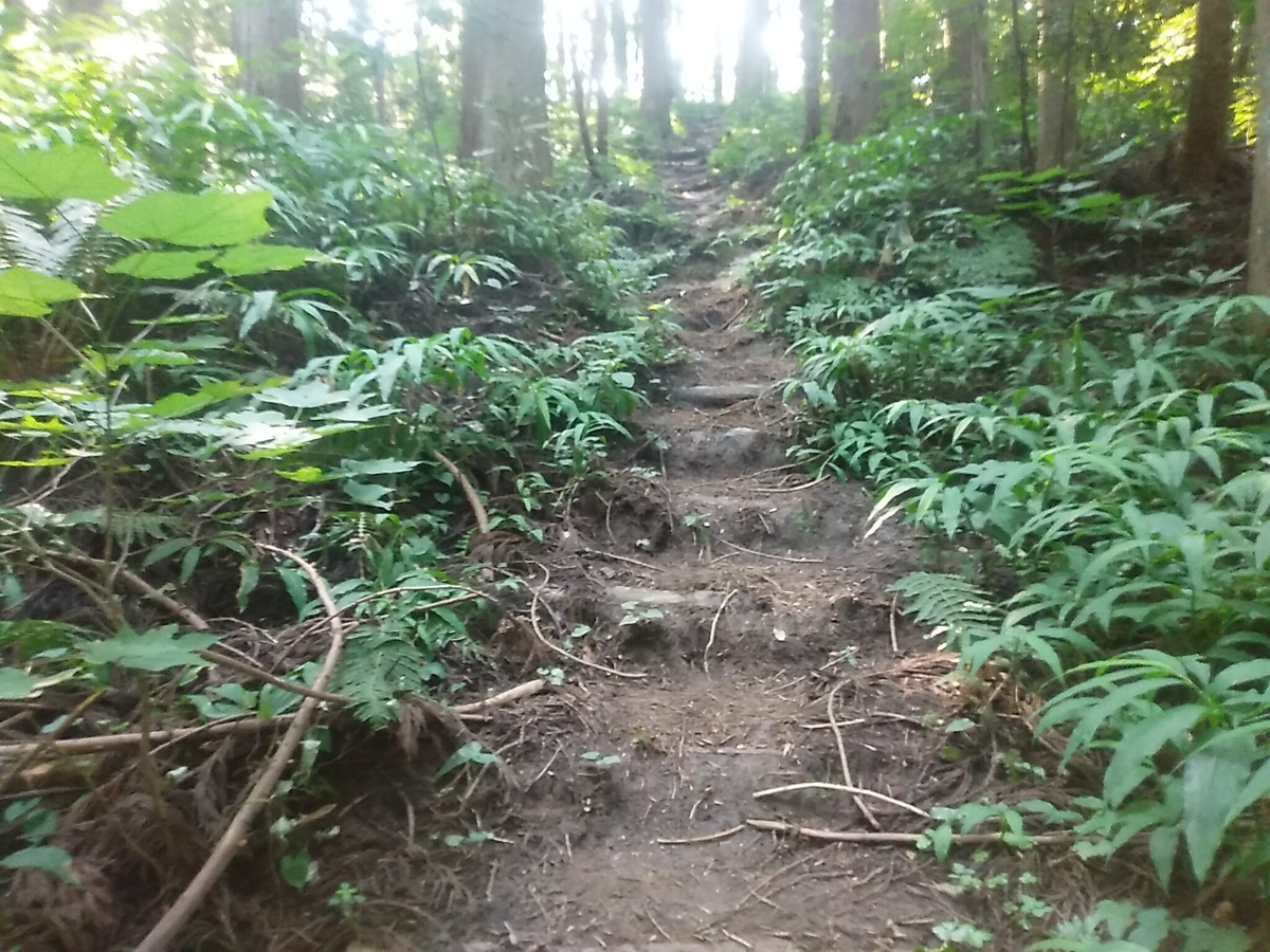 f:id:toyamayama:20190825172219j:plain f:id:toyamayama:20190825172219j:plain