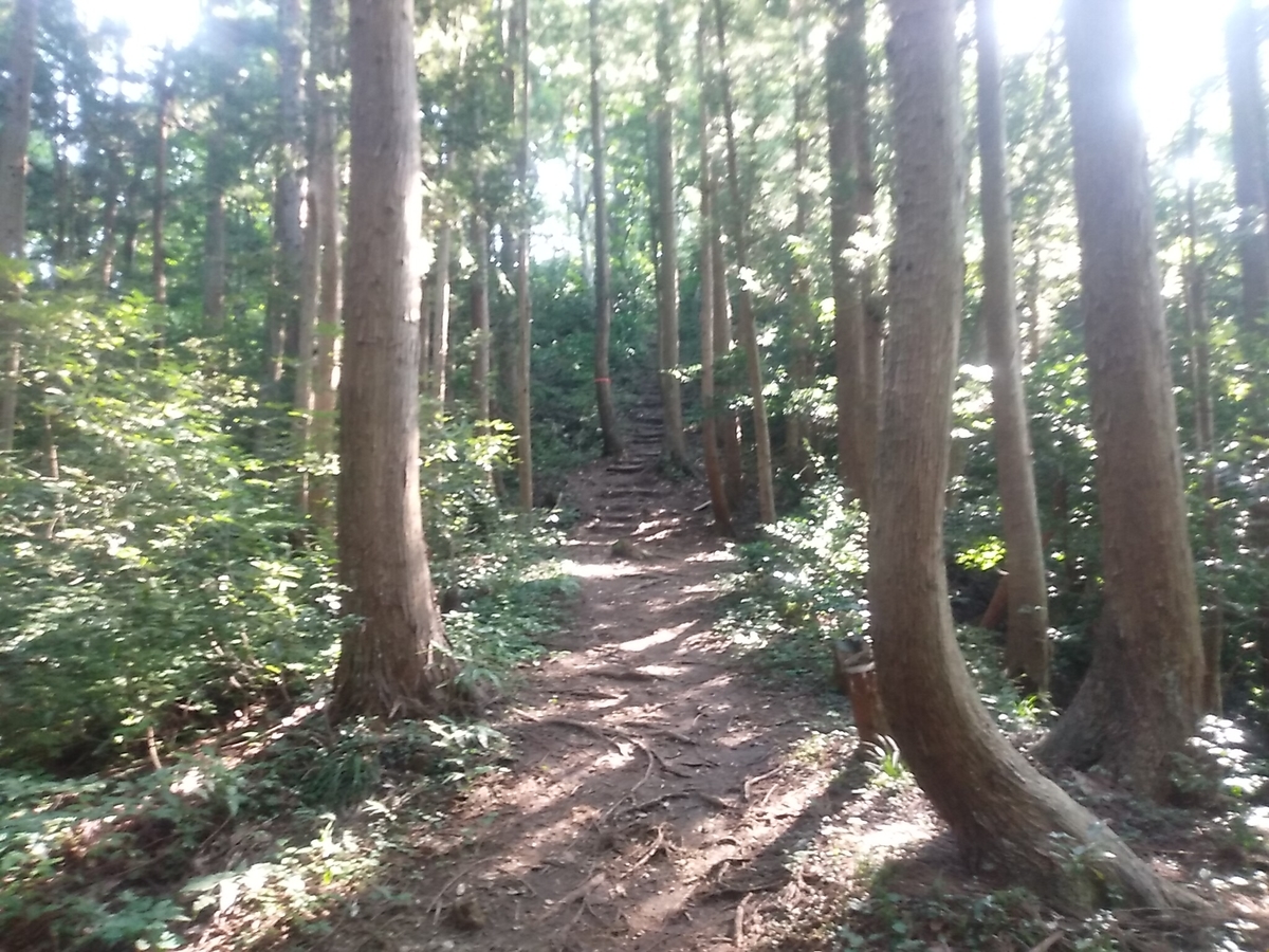f:id:toyamayama:20190825172318j:plain f:id:toyamayama:20190825172318j:plain