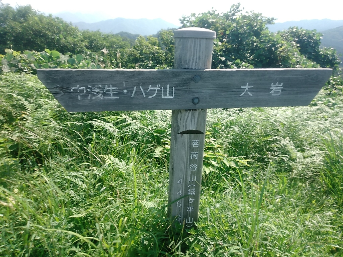 f:id:toyamayama:20190825174212j:plain f:id:toyamayama:20190825174212j:plain