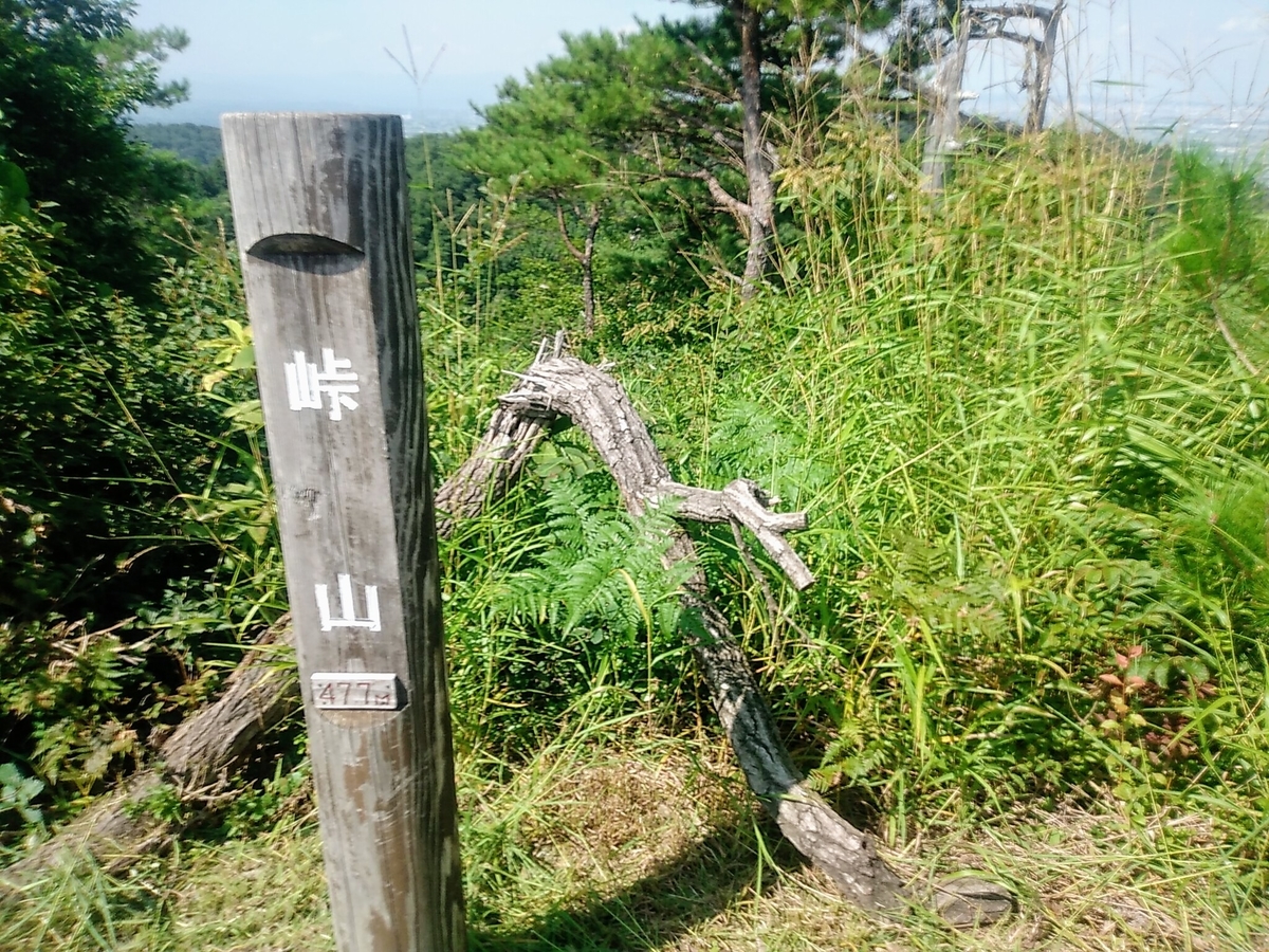 f:id:toyamayama:20190825174502j:plain f:id:toyamayama:20190825174502j:plain