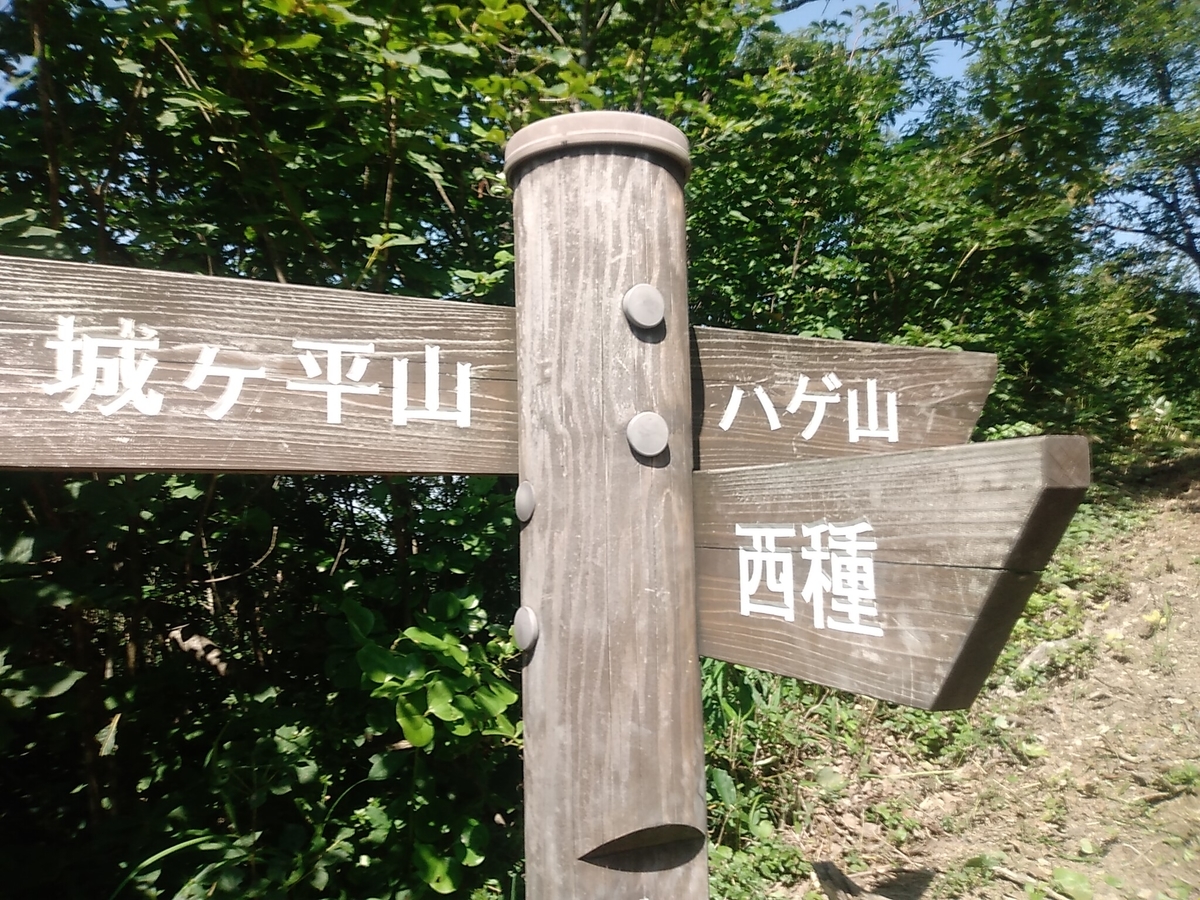 f:id:toyamayama:20190825174552j:plain f:id:toyamayama:20190825174552j:plain