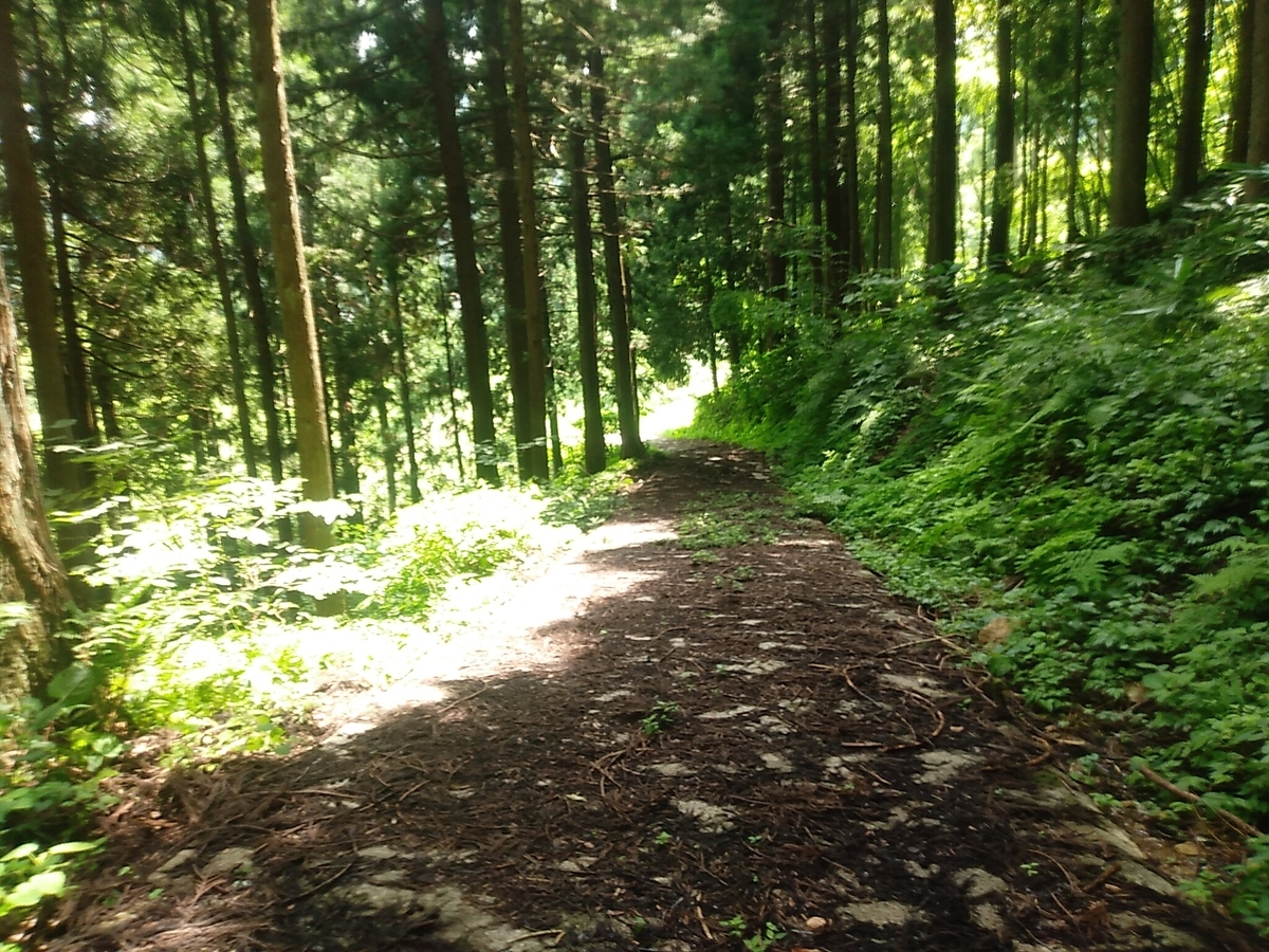 f:id:toyamayama:20190825174756j:plain f:id:toyamayama:20190825174756j:plain
