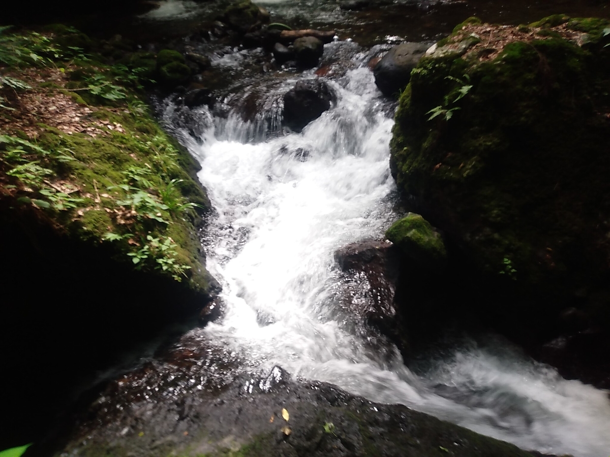 f:id:toyamayama:20190825175309j:plain f:id:toyamayama:20190825175309j:plain