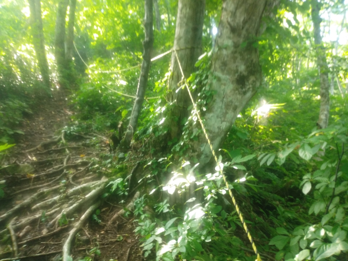 f:id:toyamayama:20190914175333j:plain