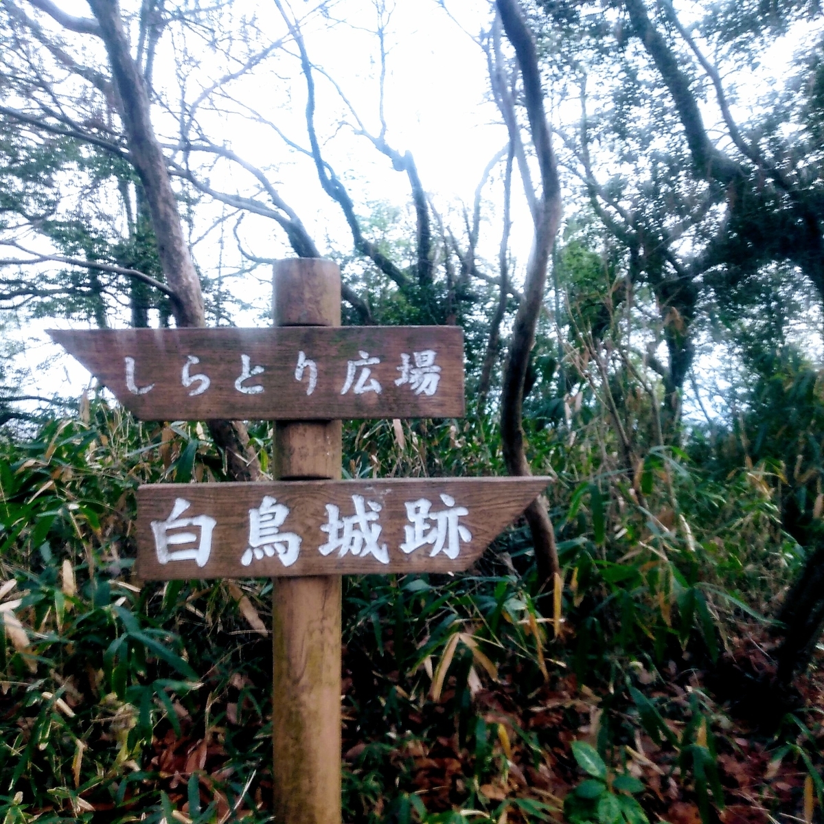 f:id:toyamayama:20200105134231j:plain