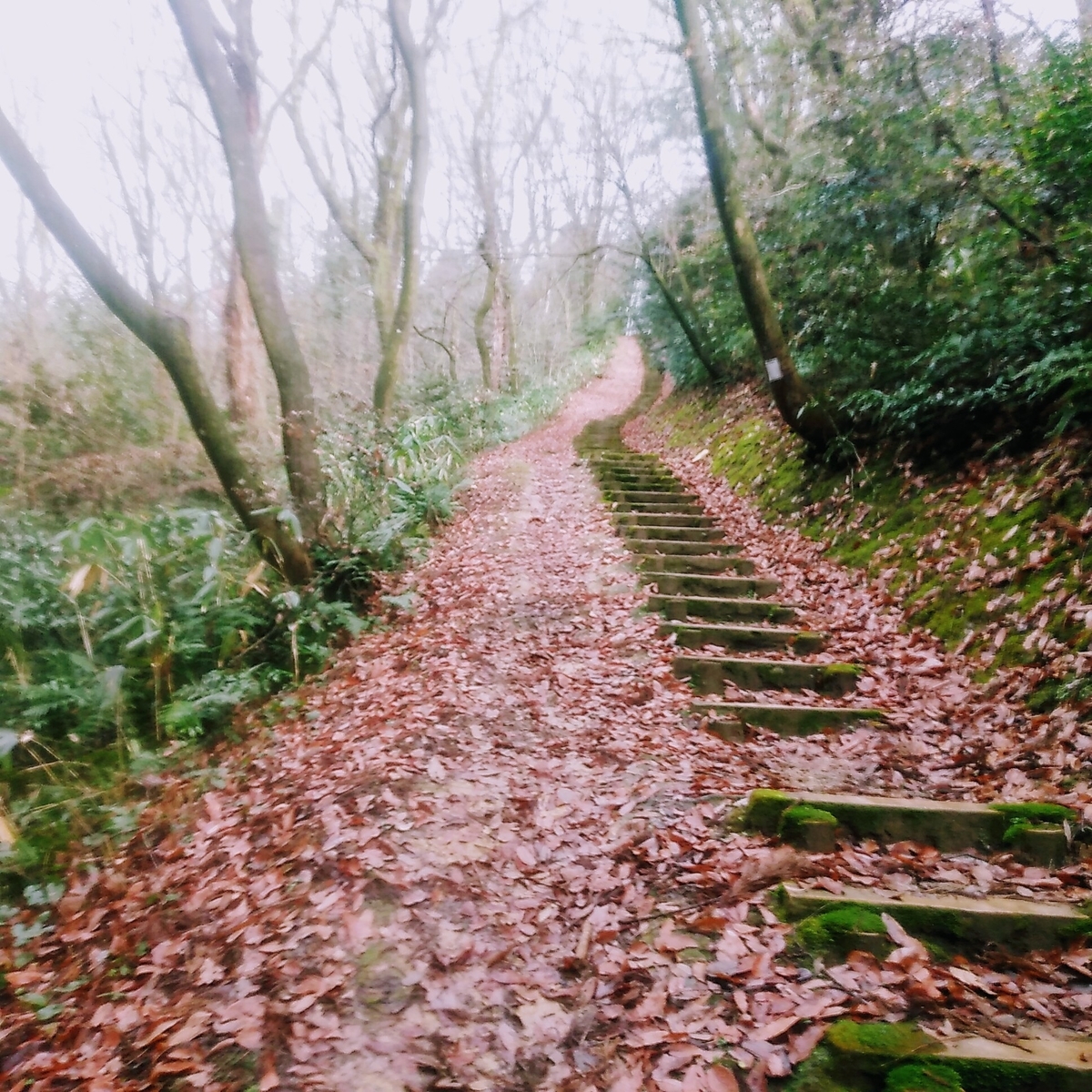 f:id:toyamayama:20200105134732j:plain