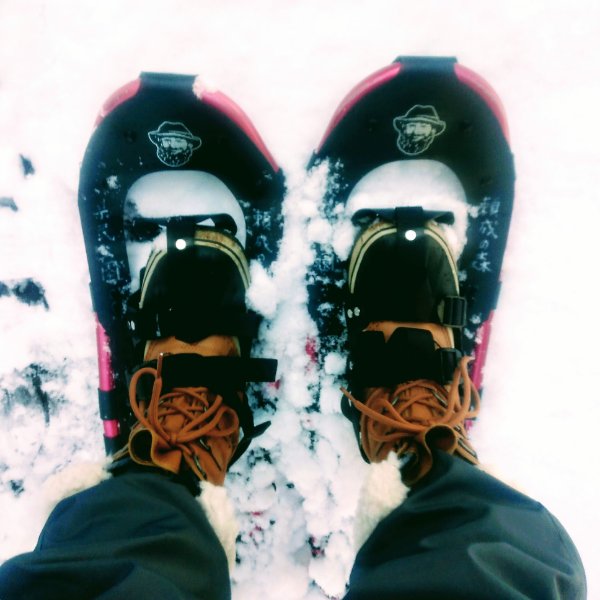 f:id:toyamayama:20200211144836j:plain