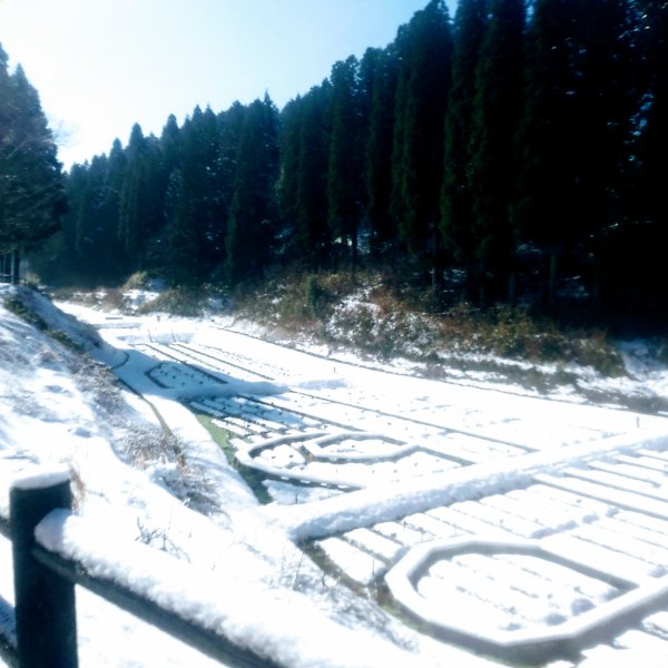 f:id:toyamayama:20200211144924j:plain