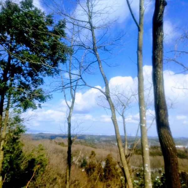 f:id:toyamayama:20200211144957j:plain