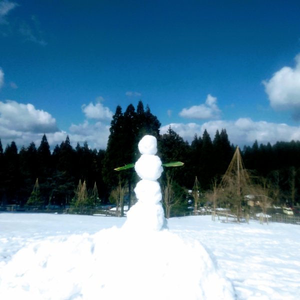 f:id:toyamayama:20200211145057j:plain