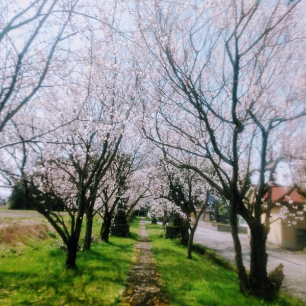 f:id:toyamayama:20200404143003j:plain