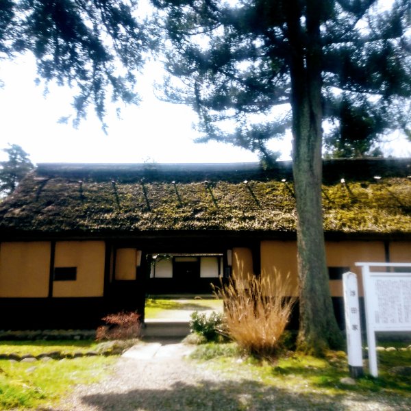 f:id:toyamayama:20200404143111j:plain
