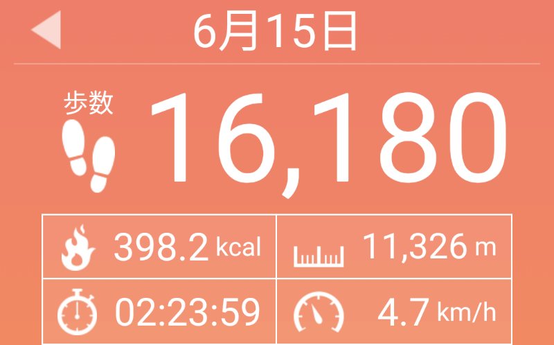 f:id:toyamayama:20200615152009j:plain