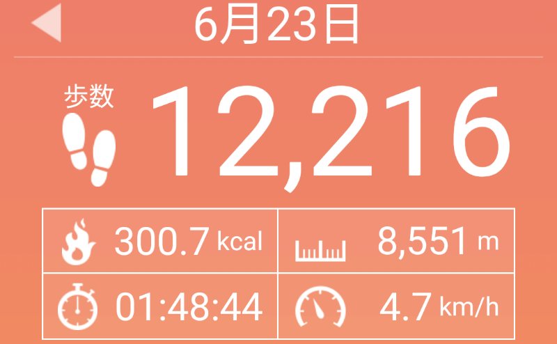 f:id:toyamayama:20200623155603j:plain
