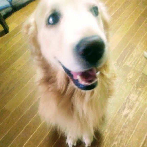 どうですか