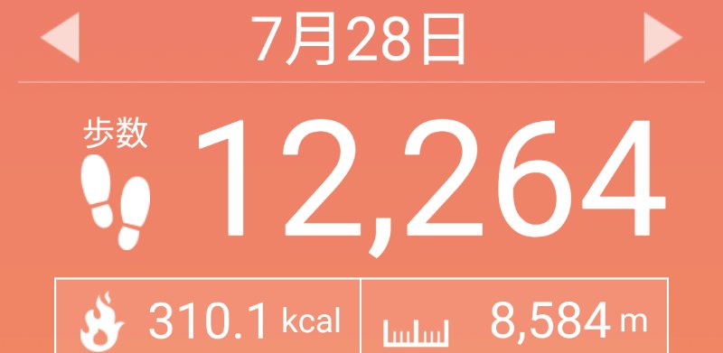 f:id:toyamayama:20200729101500j:plain