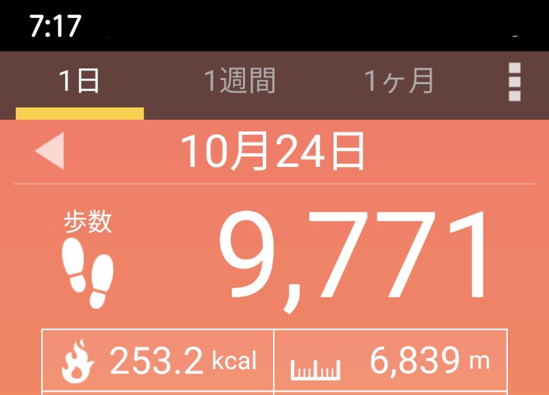 f:id:toyamayama:20201024072012j:plain
