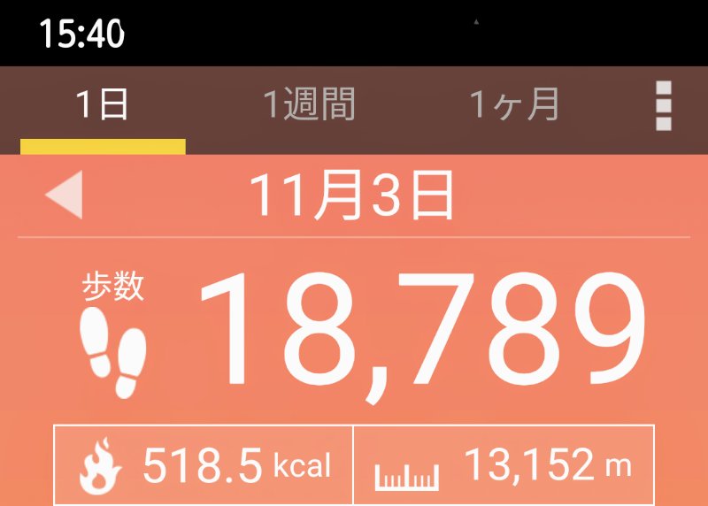 f:id:toyamayama:20201103154331j:plain