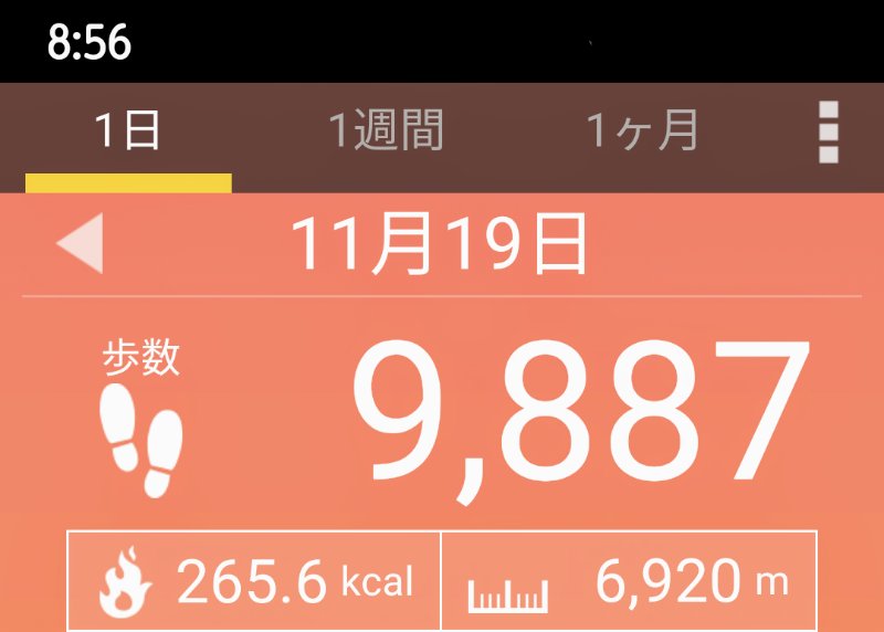 f:id:toyamayama:20201119085919j:plain