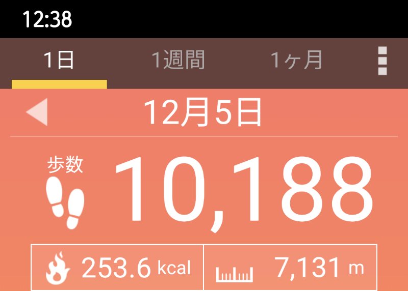 f:id:toyamayama:20201205124212j:plain