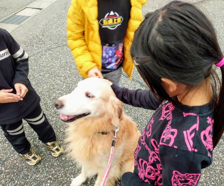 f:id:toyamayama:20201212052004j:plain