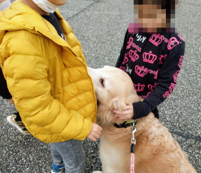 f:id:toyamayama:20201212052034j:plain