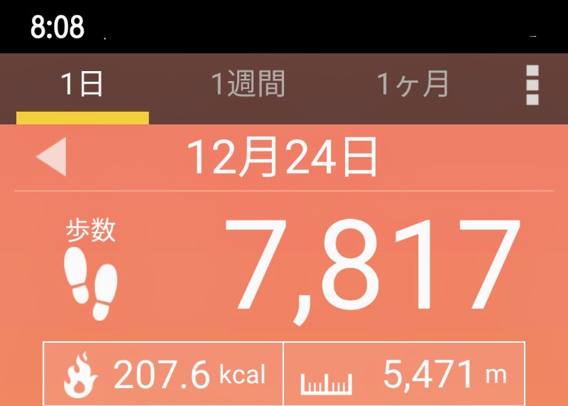 f:id:toyamayama:20201224083628j:plain
