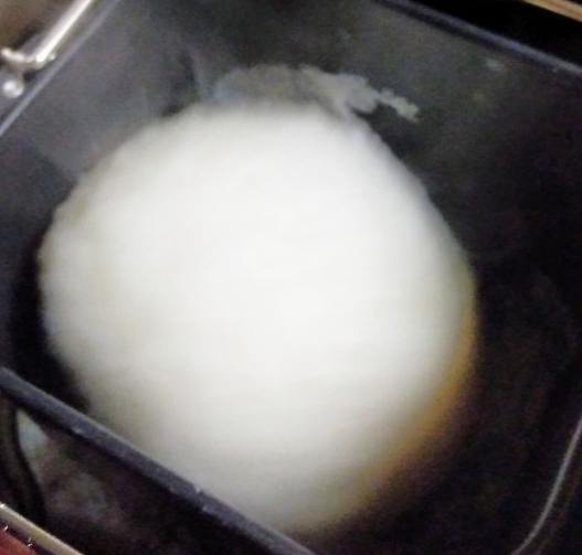 f:id:toyamayama:20201224092731j:plain