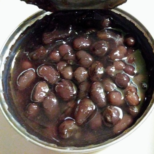 f:id:toyamayama:20201224092745j:plain
