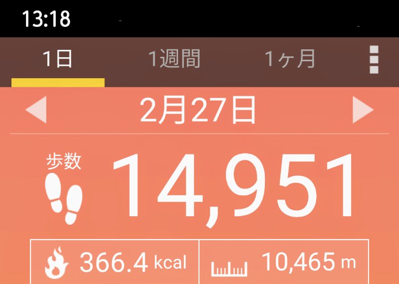 f:id:toyamayama:20210228181028j:plain